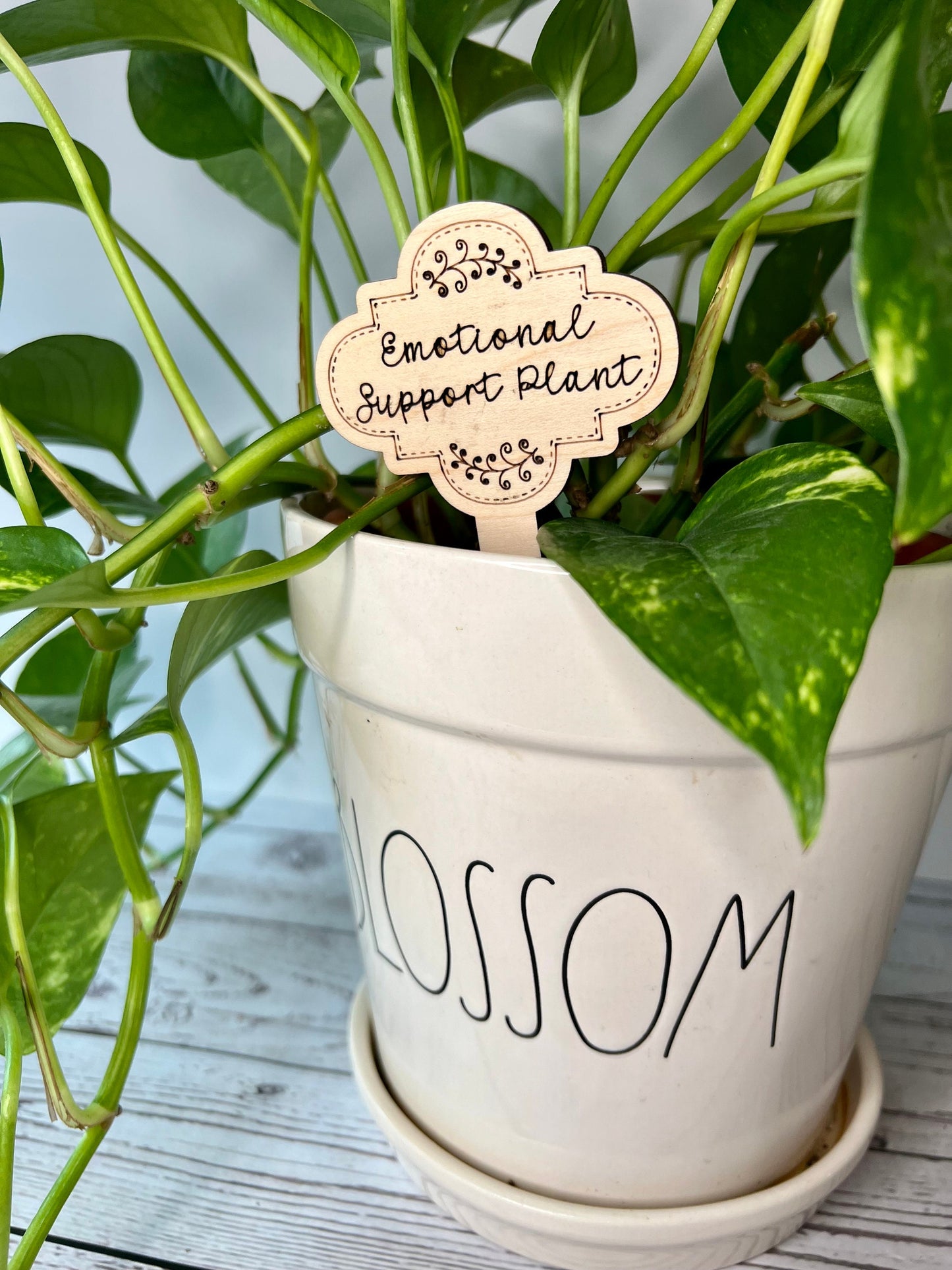 Funny Plant Stakes